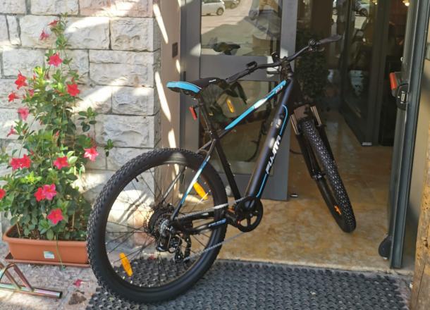 Electric bike rental